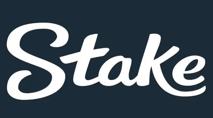 Stake: la plataforma que muchos usuarios vinculan con el nombre del Kun